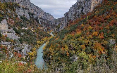 Guide des Gorges du Verdon pour les amoureux de la nature