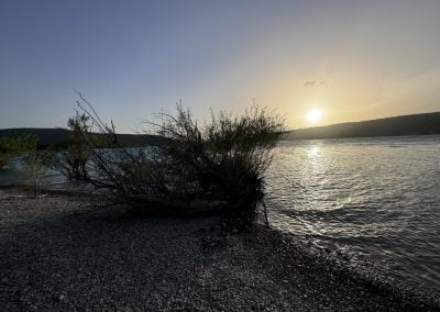 Bord du lac sainte croix , au Salles sur Verdon
